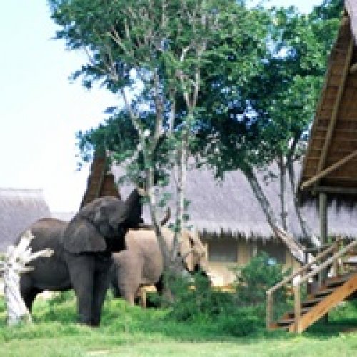 Stunning Safari Holidays At Gorah Elephant Camp